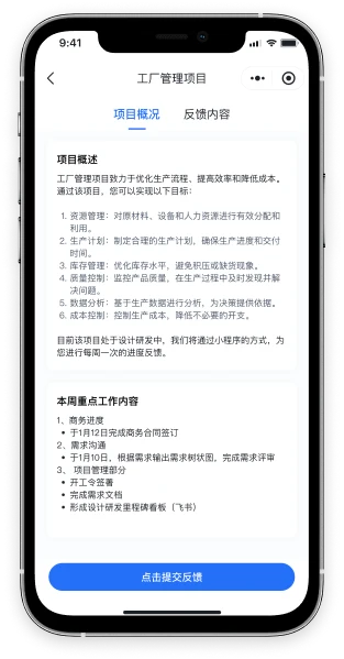 项目周报中的项目概况与本周重点